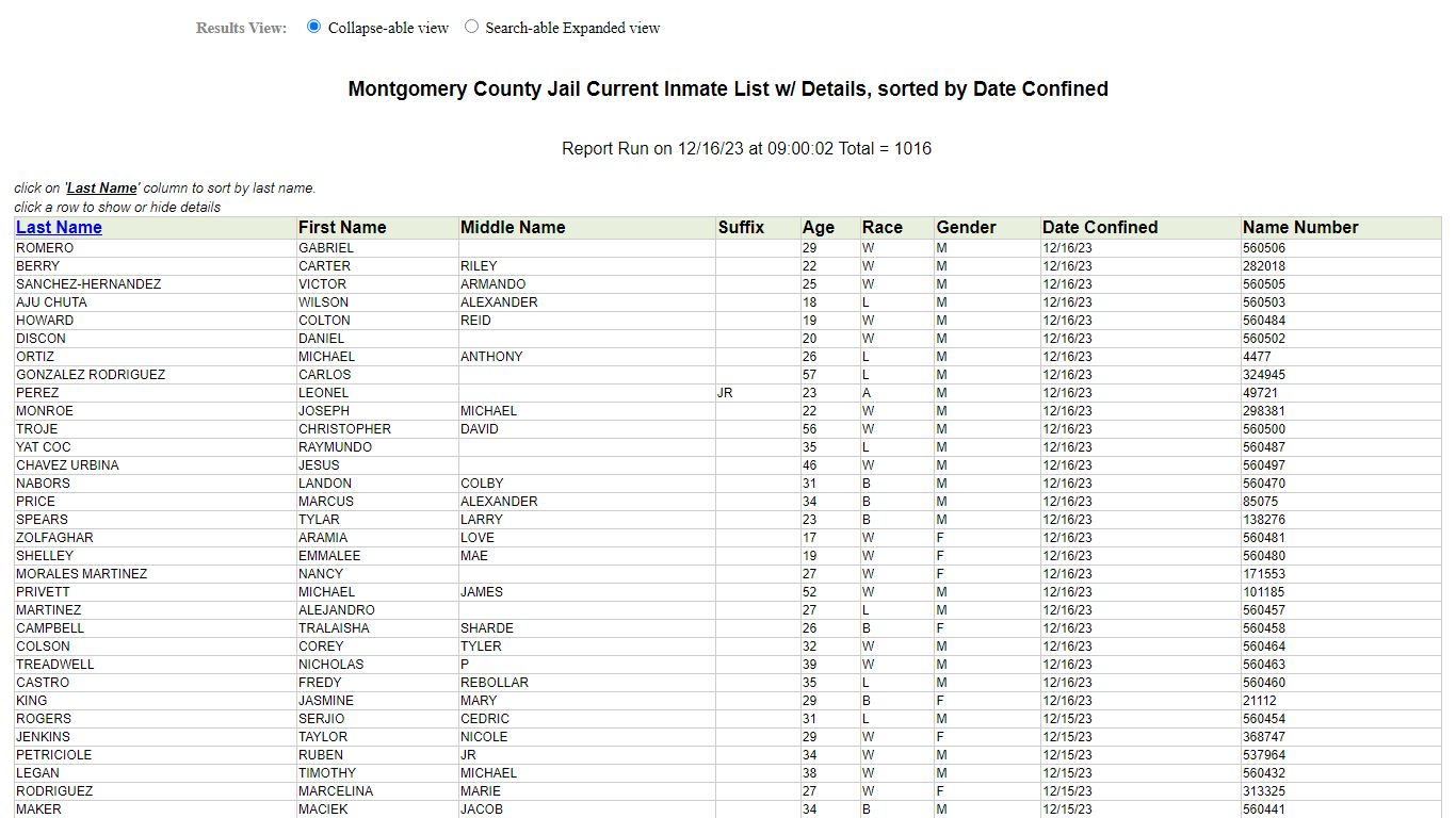 Jail Roster